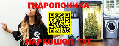 стаф Кулебаки