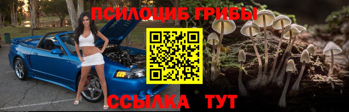 Клин  Галлюциногенные грибы мицелий  Вход с VPN 